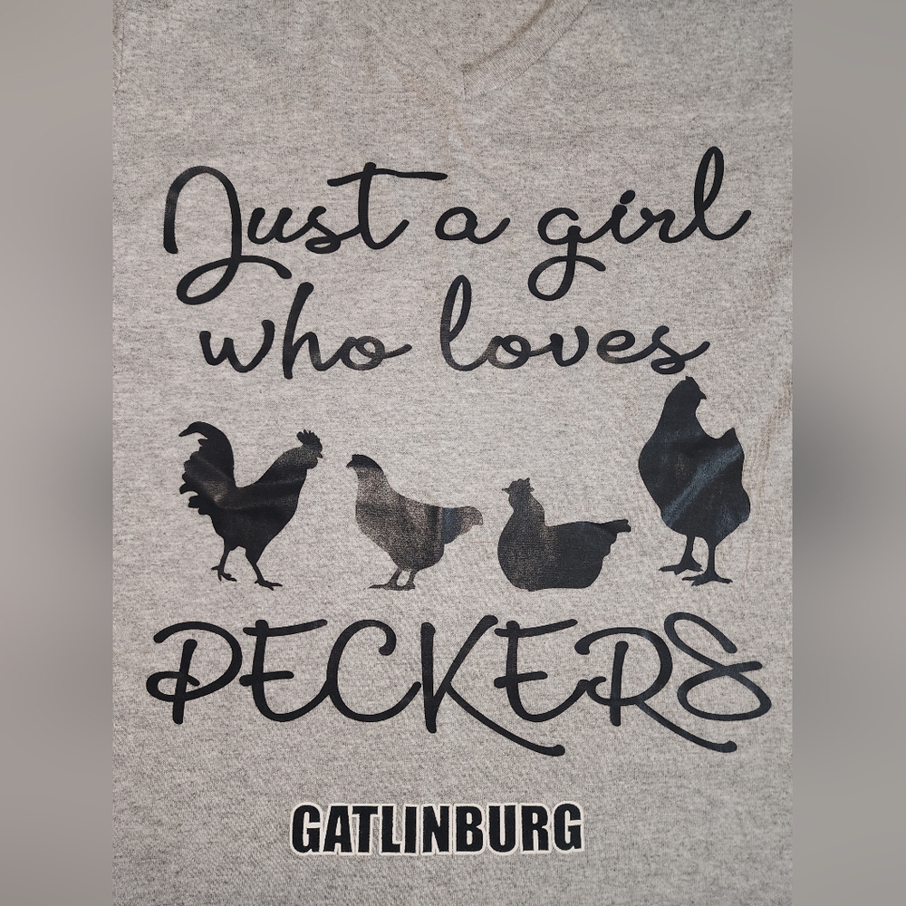 Gatlinburg TN Gray V-Neck Womens Funny Chickens Peckers Small NWT - Picture 2 of 3